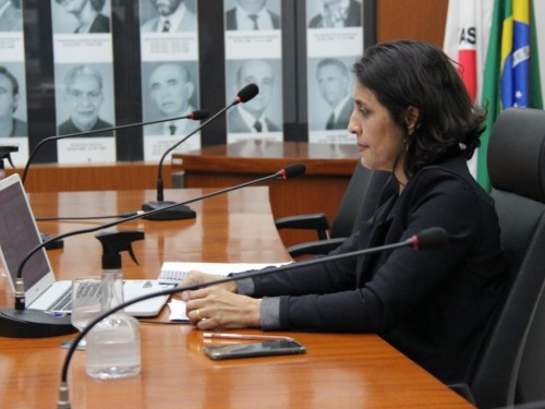 Vereadora de Ipatinga pode se tornar suplente de senador
