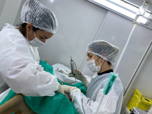 Ipatinga implanta bisturi ultrassônico na castração animais