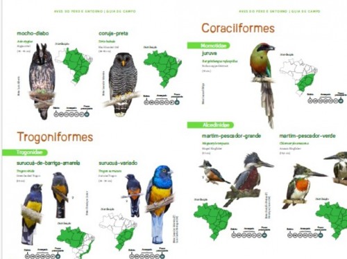 Novo Guia de Campo destaca as aves do Parque Estadual do Rio Doce